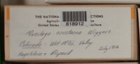 Image Associated With the Occurence